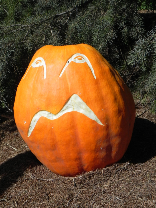 Pumpkin Carving Idea Down